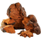 Chaga